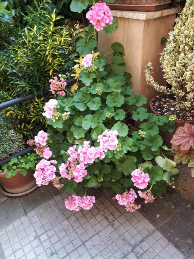 Acomodação com café da manhã  Tra Gianicolo E Trastevere